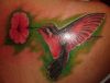 hummingbird and flower pics tattoo on back